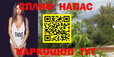 Альфа ПВП Пугачёв