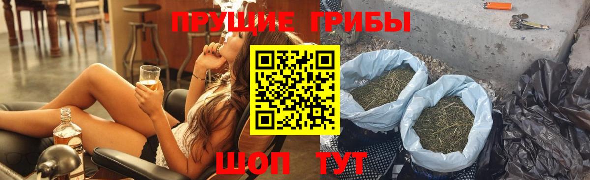 Псилоцибиновые грибы мухоморы Сланцы