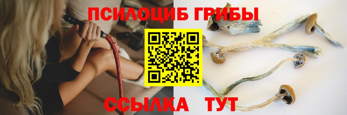 Псилоцибиновые грибы мицелий  Вход с VPN  Сланцы  Псилоцибиновые грибы GOLDEN TEACHER 